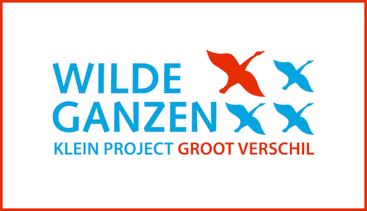 Wilde Ganzen Foundation