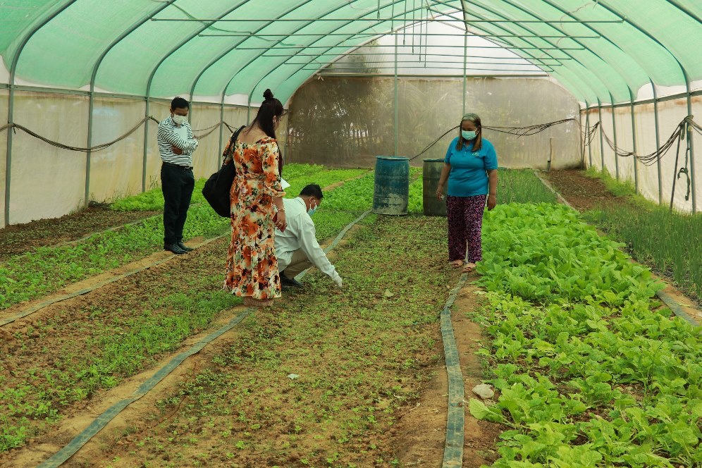 Authorities Visit Vegetable Farms