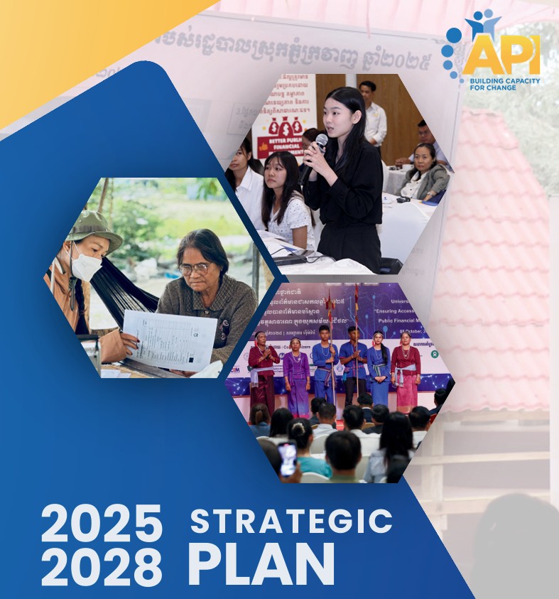 API Strategic Plan 2025–2028