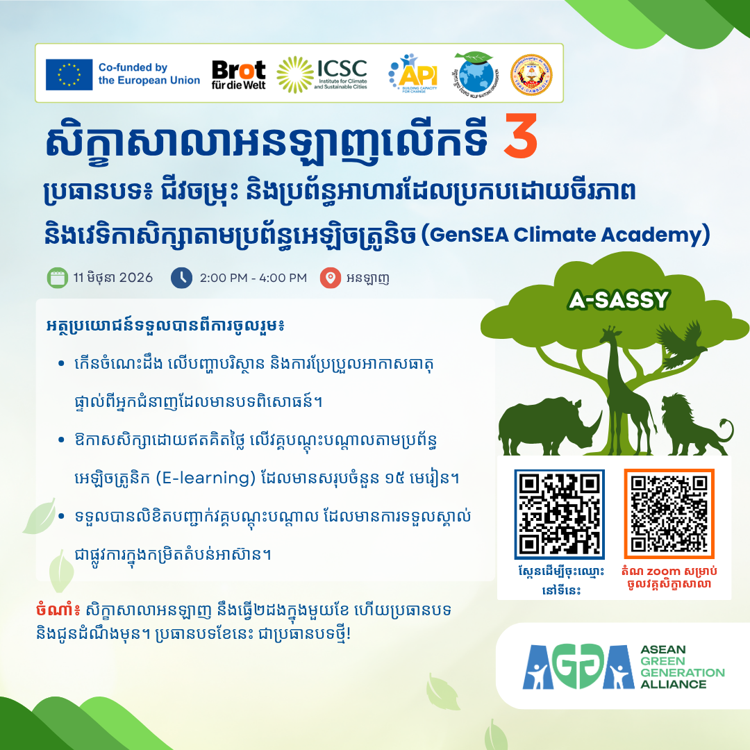 Third Webinar (A-SASSY Project)